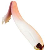 Máy Massage Tougue Women Dành cho nữ giải toả Trắng Hồng Mềm Mại chính hãng