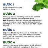 Bao Cao Su Siêu Mỏng Hương Bạc Hà Sagami Nhật Bản Chính Hãng Hộp 10 Cái