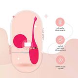 Trứng Rung Dolphin 10 Chế Độ Rung Chính Hãng 376424