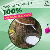 Bao cao su Vista - Mỏng trơn - Hộp 10 cái 378240