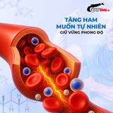 Viên uống hỗ trợ cường dương, tăng cường sinh lý Azodra 100mg - Hộp 4 viên  378575