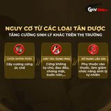 Tinh chất mật ong Hachimitsu hỗ trợ tăng cường sinh lý nam giới 1 gói