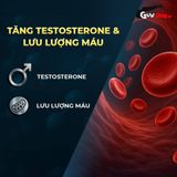 Viên uống tăng kích thước, kéo dài thời gian Powergra For Men (Super Gold Magic) - Hộp 10 viên 378641