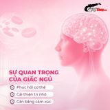 Viên uống cải thiện tình trạng mất ngủ Powergra Gentle Dreams - Hộp 60 viên