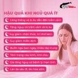 Viên uống cải thiện tình trạng mất ngủ Powergra Gentle Dreams - Hộp 60 viên