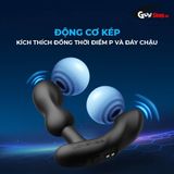 Máy massage tuyến tiền liệt Lovense Edge 2 cao cấp chính hãng