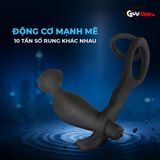 Que rung hậu môn Shelly Play Hive cao cấp chính hãng