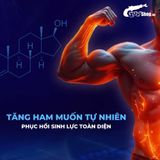 Viên uống hỗ trợ cường dương, tăng cường sinh lý Maxman - Hộp 10 viên 378601