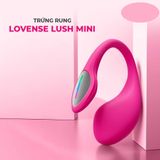 Trứng Rung Lovense Lush Mini Điều Khiển App Chính Hãng