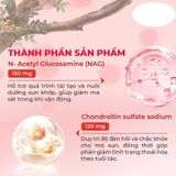 Viên uống hỗ trợ xương khớp Powergra Joint Shield Hộp 60 viên Cao Cấp Chính Hãng