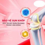 Viên uống hỗ trợ xương khớp Powergra Joint Shield Hộp 60 viên Cao Cấp Chính Hãng