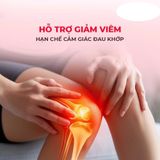 Viên uống hỗ trợ xương khớp Powergra Joint Shield Hộp 60 viên Cao Cấp Chính Hãng