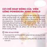 Viên uống hỗ trợ xương khớp Powergra Joint Shield Hộp 60 viên Cao Cấp Chính Hãng