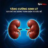 Kẹo nhân sâm tăng cường sinh lý kéo dài thời gian lâu ra Alpha Seven A7 10 viên