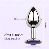 Phích cắm hậu môn inox Anal Toy 02 màu bạc