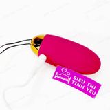 (Có Video) Trứng rung có 6 chế độ rung điều khiển từ xa pin sạc Svakom Elva 