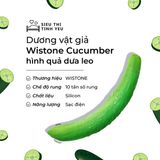 ( CÓ VIDEO ) Dương vật giả ngụy trang dưa leo gai Wistone Cucumber