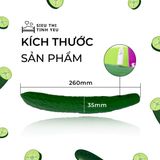 ( CÓ VIDEO ) Dương vật giả ngụy trang dưa leo gai Wistone Cucumber
