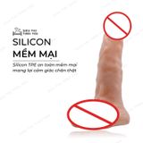 (Có video)Dương vật giả có dây đeo Baile Ultra Passionate Harness có bìu rỗng ruột