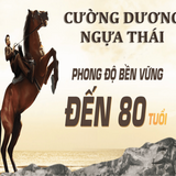 Viên uống tăng cường sinh lý lâu ra dành cho nam giới Ngựa Thái Lan