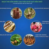 Viên uống tăng cường sinh lý lâu ra dành cho nam giới Ngựa Thái Lan