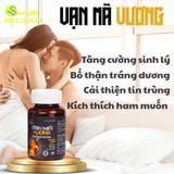 Viên uống bổ thận tráng dương tăng cường sinh lý Vạn Mã Vương 400 viên