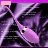 Trứng rung đuôi cá sạc điện điều khiển từ xa dài 16.5cm