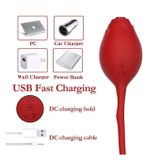 Trứng rung 2 đầu hình hoa hồng điều khiển mini dài 19cm