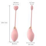 Trứng rung không dây điều khiển từ xa dùng sạc điện dài 20.3cm 391754