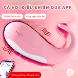 (Có video) Trứng rung ngụy trang cá voi Minty bản kết nối với điện thoại 