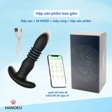 (Có video) Phích cắm hậu môn rung Panda rung thục kết hợp điều khiển từ xa