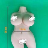 Búp bê âm đạo nửa người có mông và ngực đầy đặn