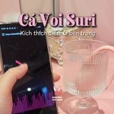 (Có video) Set hộp quà trứng rung ngụy trang yêu thương Pink Secret Ver 02