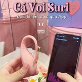 (Có video) Set hộp quà trứng rung ngụy trang yêu thương Pink Secret Ver 02