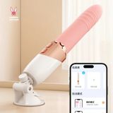 (Có video) Dương vật giả rung thục cao cấp có đế dính tường Roselex 