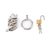 Khóa dương vật inox hình con hổ dài 70mm với 3 size