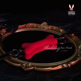 Vòng đeo cổ BDSM hóa thân bé cún dễ thương