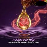 Chai hít tăng khoái cảm Popper DS USA Golden Cock Pride Chai 30ml