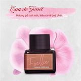 Nước Hoa Vùng Kín Foellie Nâu Hương Gỗ Sang (Limited) - Chai 5ml