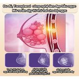 Kem nâng ngực kem nở ngực tăng vòng 1 hiệu quả chống chảy xệ săn chắc vòng 1 hồng nhũ hoa chăm sóc ngực 60g