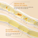 Kem nâng ngực kem nở ngực tăng vòng 1 hiệu quả chống chảy xệ săn chắc vòng 1 hồng nhũ hoa chăm sóc ngực 60g