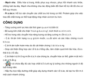 Hộp 30 Viên Kẹo Sâm Đen Mentalk Malaysia - Viên Cứng 404658