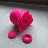 Máy rung massage kích thích nữ Satisfyer Pro 2 Modern Blossom massage