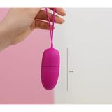 Trứng rung Pretty Love Selkie điều khiển từ xa 12 chế độ