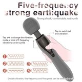 Chày Rung 2 Đầu Gusdun Gentleman AV Stick