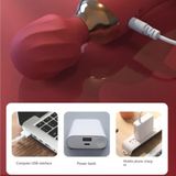 Chày Rung Massage 2 Đầu Siêu Mạnh Sagan 406960