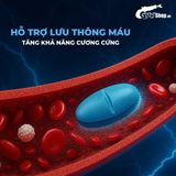 Viên uống hỗ trợ cương, tăng cường sinh lý Maxman - Hộp 10 viên Chính hãng  408474