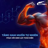 Viên uống hỗ trợ cương, tăng cường sinh lý Maxman - Hộp 10 viên Chính hãng  408474