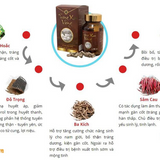 Trường Xuân Vương gia tăng sinh lực phái mạnh