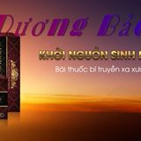 Viên uống hỗ trợ tăng cường sinh lý tráng dương bổ thận Dương Bảo Đan 6 viên